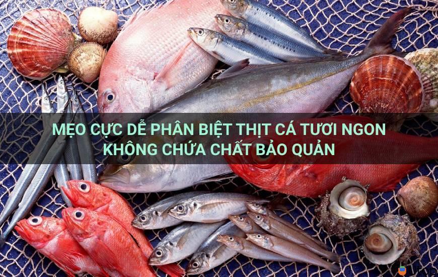 Mẹo cực dễ phân biệt thịt cá tươi ngon không chứa chất bảo quản