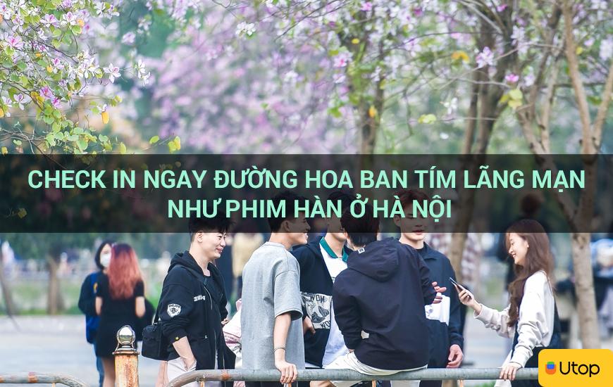 Check in ngay đường hoa ban tím lãng mạn như phim Hàn ở Hà Nội