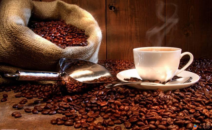 Thị trường cà phê Robusta tại Việt Nam như thế nào?