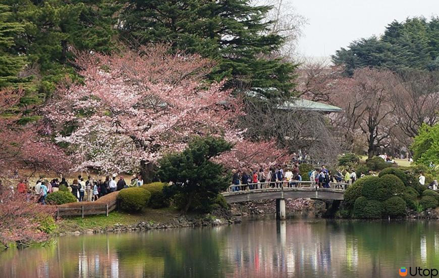 1.Công viên Shinjuku