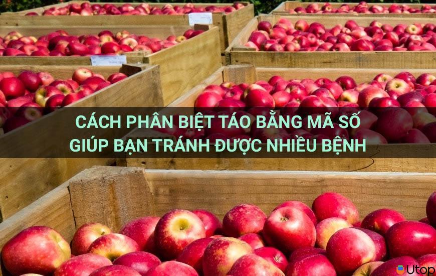 Cách phân biệt táo bằng mã số giúp bạn tránh được nhiều bệnh