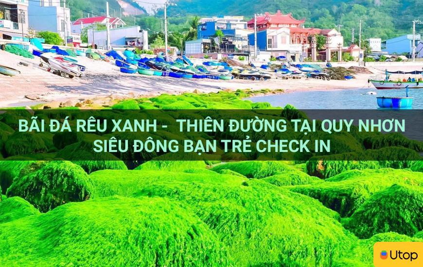 Bãi đá rêu xanh -  Thiên đường tại Quy Nhơn siêu đông bạn trẻ check in 