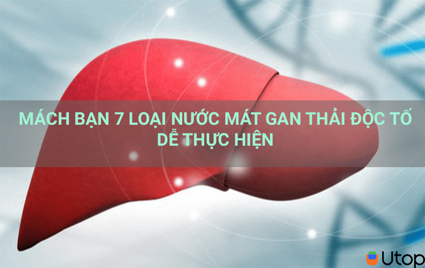 MÁCH BẠN 7 LOẠI NƯỚC MÁT GAN THẢI ĐỘC TỐ DỄ THỰC HIỆN