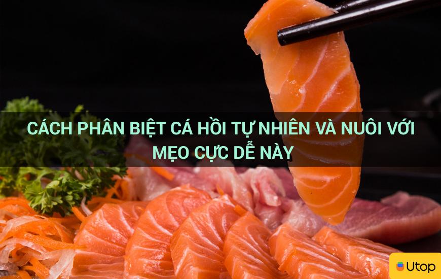 Cách phân biệt cá hồi tự nhiên và nuôi với mẹo cực dễ này