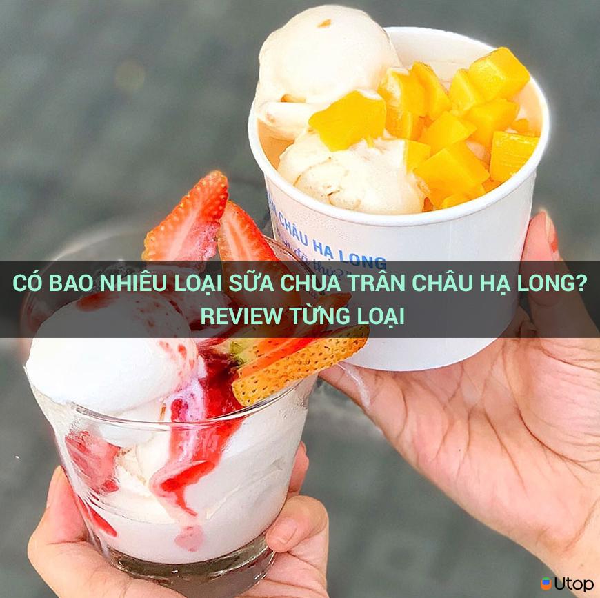 Có bao nhiêu loại sữa chua trân châu Hạ Long? Review từng loại