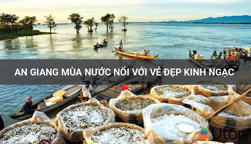 An Giang mùa nước nổi với vẻ đẹp kinh ngạc mà bạn nên ghé một lần