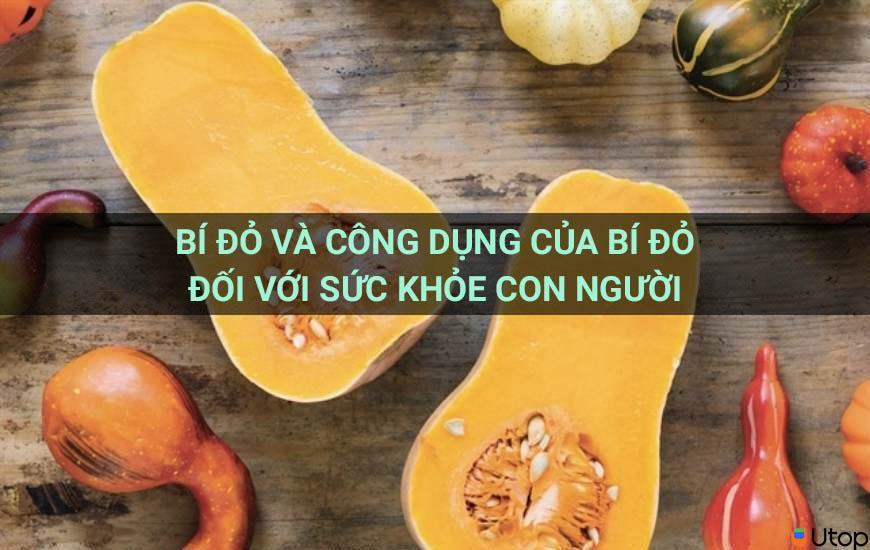 Bí đỏ và công dụng của bí đỏ đối với sức khỏe con người