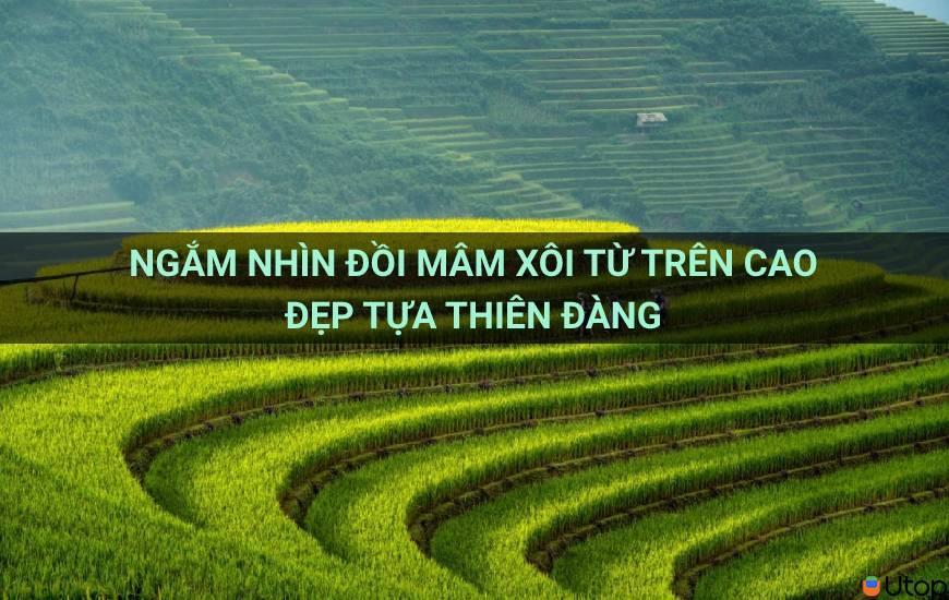 Ngắm nhìn đồi Mâm Xôi từ trên cao đẹp tựa thiên đàng