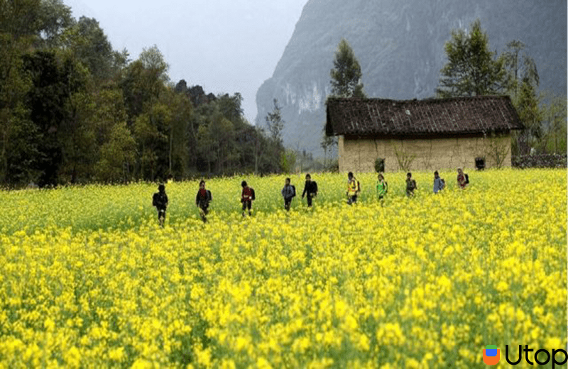 Có gì đặc biệt tại cao nguyên đá Hà Giang?