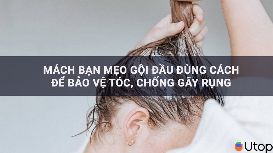 Mách cho bạn mẹo gội đầu đúng cách để bảo vệ tóc, chống gãy rụng