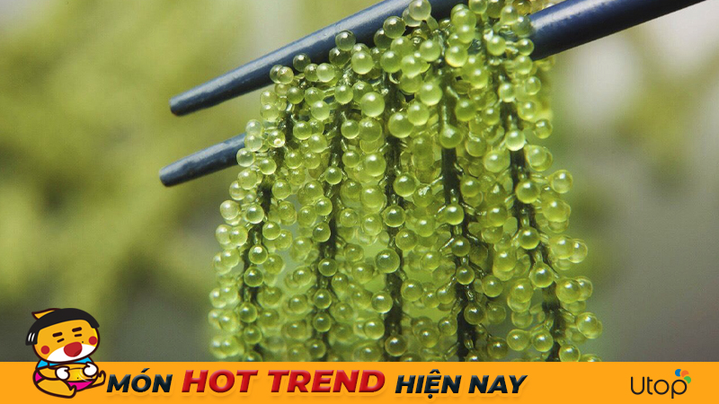 Rong nho tách nước - Món ăn hot trend hiện nay