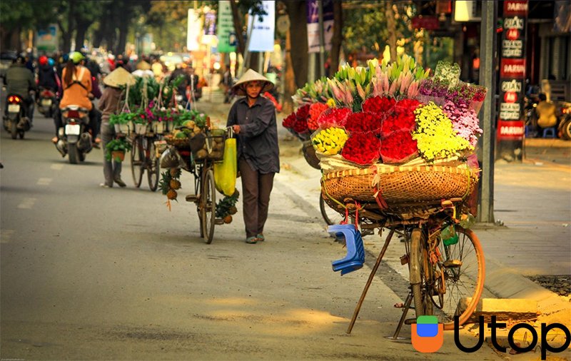 Mùa thu Hà Nội với vài điều nhỏ bé làm lòng người nhung nhớ