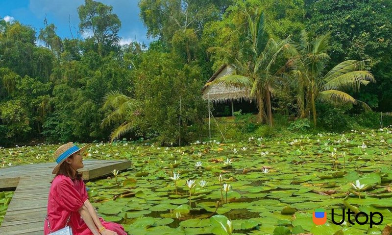 Góc check in cho hội đam mê sống ảo