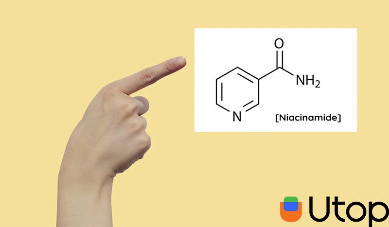 Hoạt chất Niacinamide