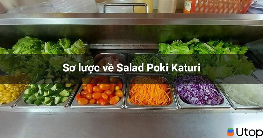 Sơ lược về Salad Poki Katuri - quán ăn dành cho tín đồ healthy