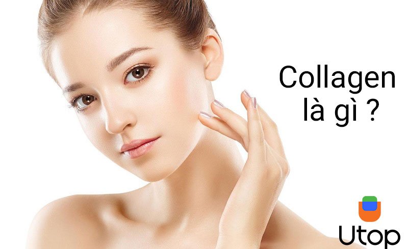 Collagen là gì? Hiệu quả của collagen cho sức khỏe và sắc đẹp