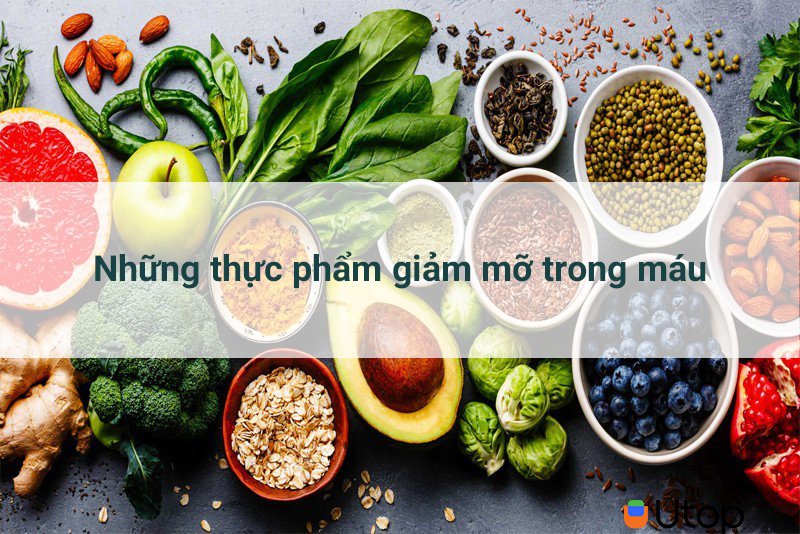 Những thực phẩm giúp  mỡ trong máu giảm