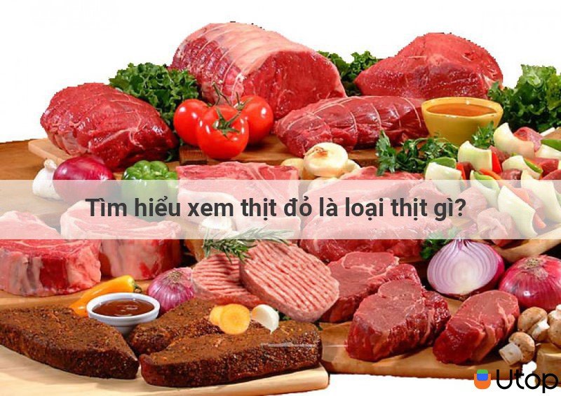 Tìm hiểu xem thịt đỏ là loại thịt gì?