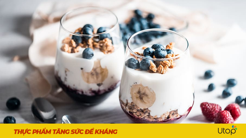 Sữa chua - Giàu lợi khuẩn, hỗ trợ tăng đề kháng tốt