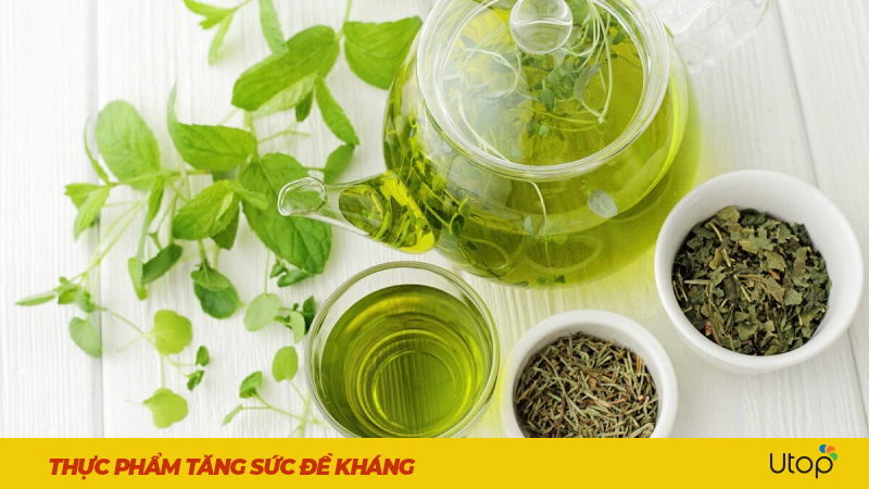 Trà xanh - Không chỉ là chất chống oxy hóaTrà xanh - Không chỉ là chất chống oxy hóa