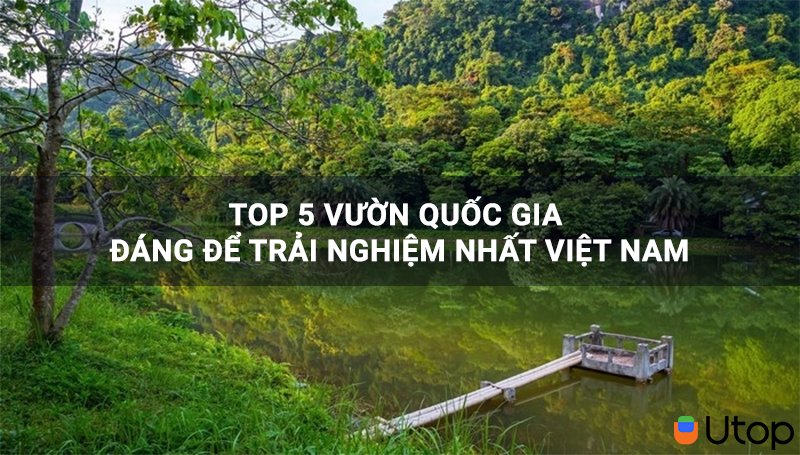 Top 5 vườn quốc gia chờ bạn khám phá và trải nghiệm