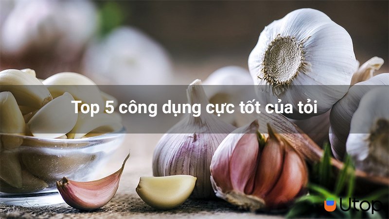 Top 5 công dụng cực tốt của tỏi mà có thể bạn chưa biết