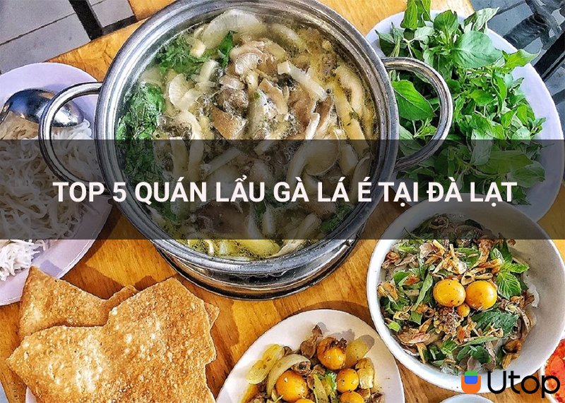 Top 5 quán lẩu gà lá é siêu ngon mà bạn đừng bỏ lỡ khi ghé Đà Lạt