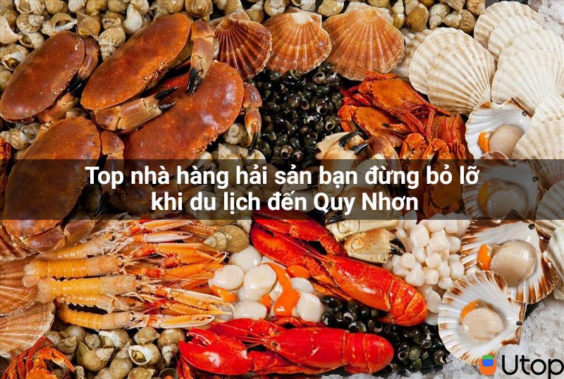 Top nhà hàng hải sản bạn đừng bỏ lỡ khi du lịch đến Quy Nhơn