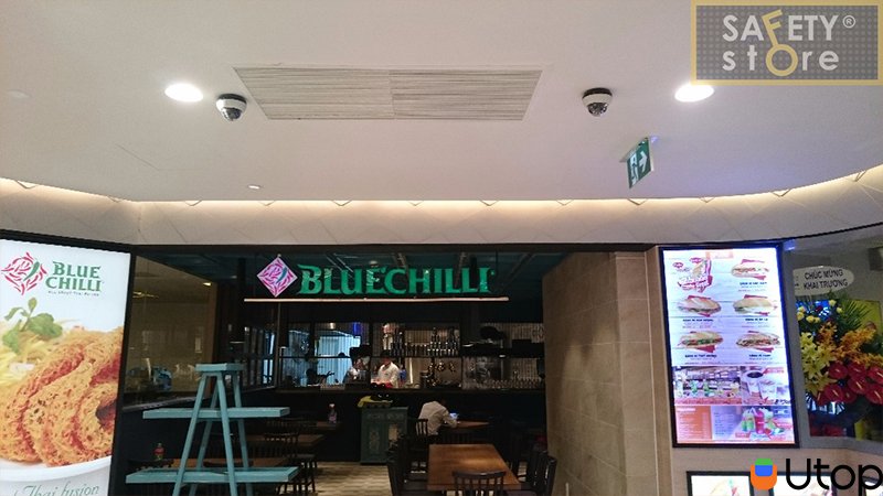 Blue Chilli