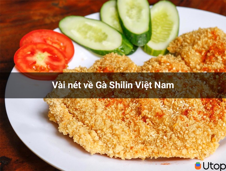 Vài nét về Gà Shilin Việt Nam