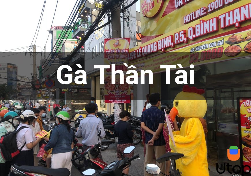 Gà thần tài đến đây! Ý nghĩa gà thần tài