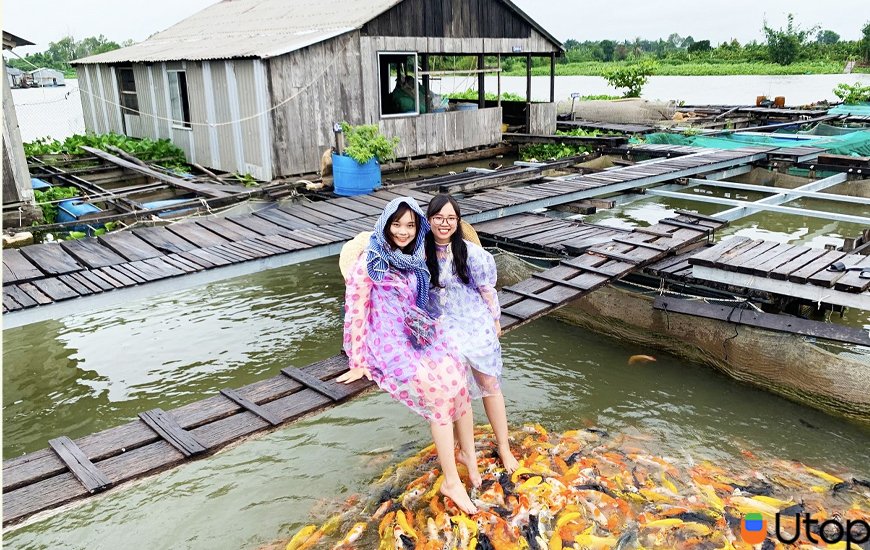 Cồn Sơn