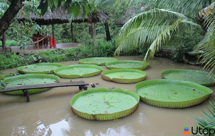 Cồn Sơn