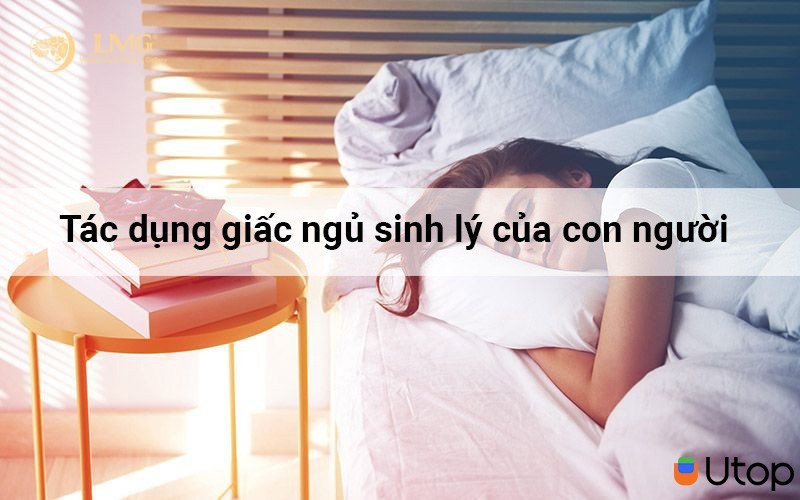 Tác dụng giấc ngủ sinh lý của con người