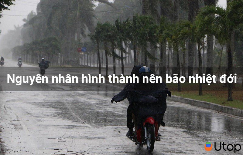 - Nguyên nhân hình thành nên bão nhiệt đới