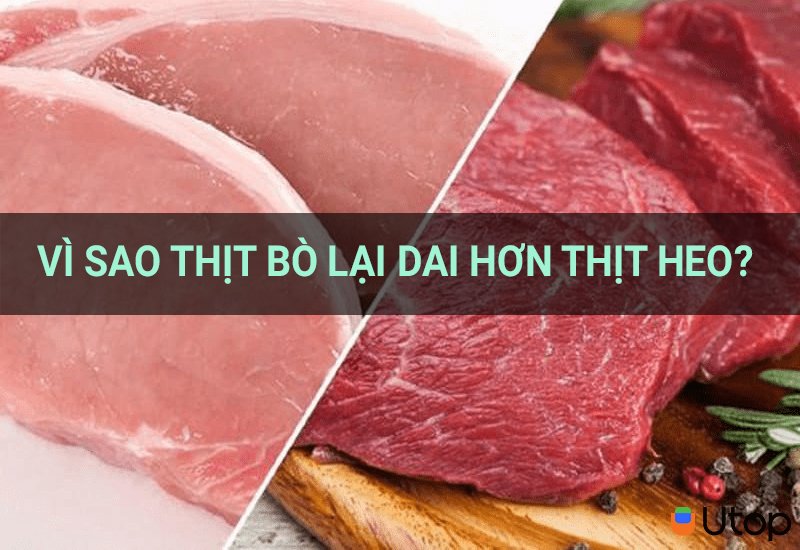 Vì sao thịt bò lại dai hơn thịt heo? Đi chợ ở đâu để được giá rẻ mà lại an toàn?