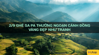 2/9 ghé Sa Pa thưởng ngoạn cánh đồng vàng đẹp như tranh