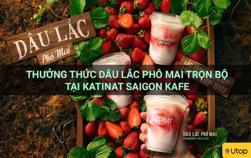 Th Ng Th C D U L C Ph Mai Tr N B T I Katinat Saigon Kafe Tin T C