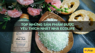 Top những sản phẩm được yêu thích nhất nhà Ecolife