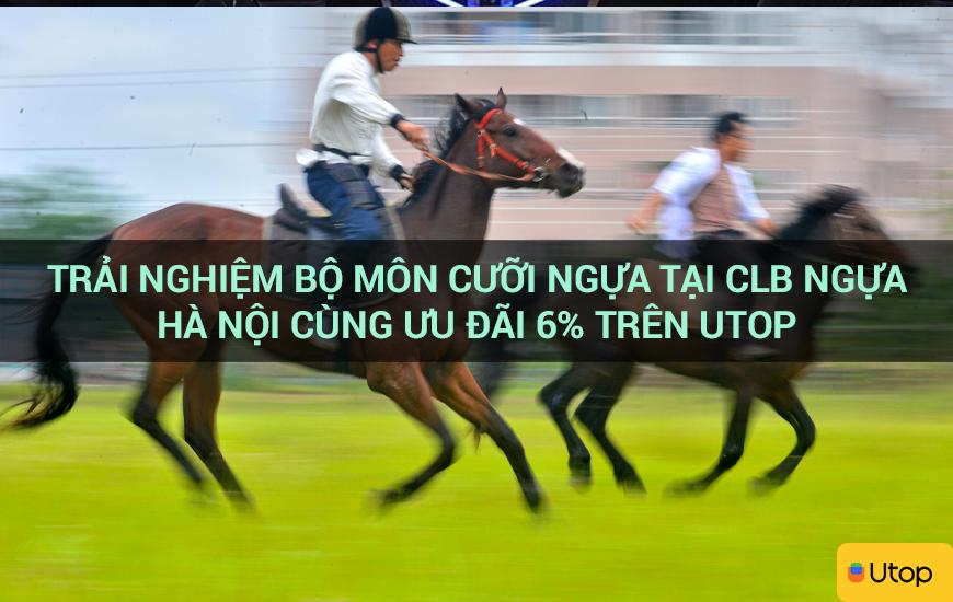 Trải nghiệm bộ môn cưỡi ngựa tại CLB Ngựa Hà Nội cùng ưu đãi 6% trên Utop