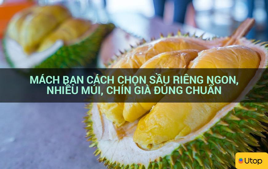 Mách bạn cách chọn sầu riêng ngon, nhiều múi, chín già đúng chuẩn 