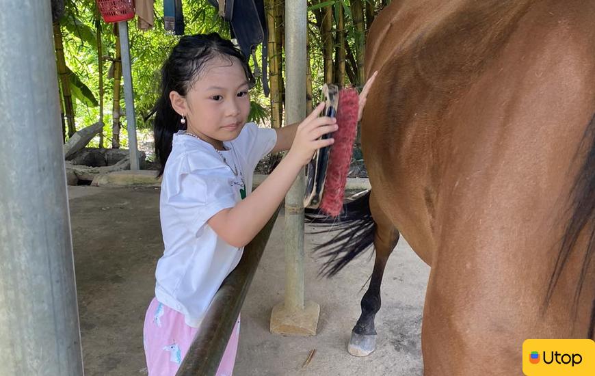 Trải nghiệm cưỡi ngựa theo phong cách Châu  u tại CLB Ngựa Hà Nội