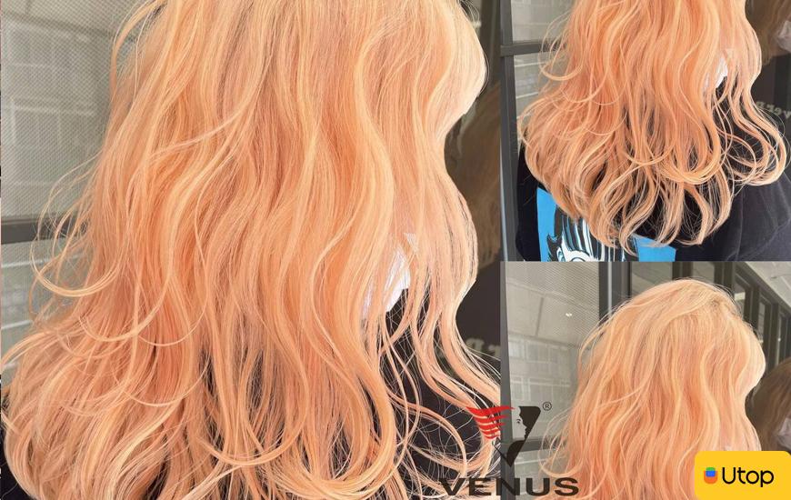 Những dịch vụ tại Venus Hair Salon HN