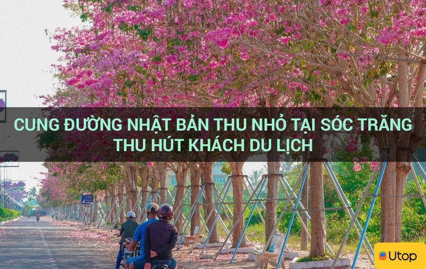 Cung đường Nhật Bản thu nhỏ tại Sóc Trăng thu hút khách du lịch