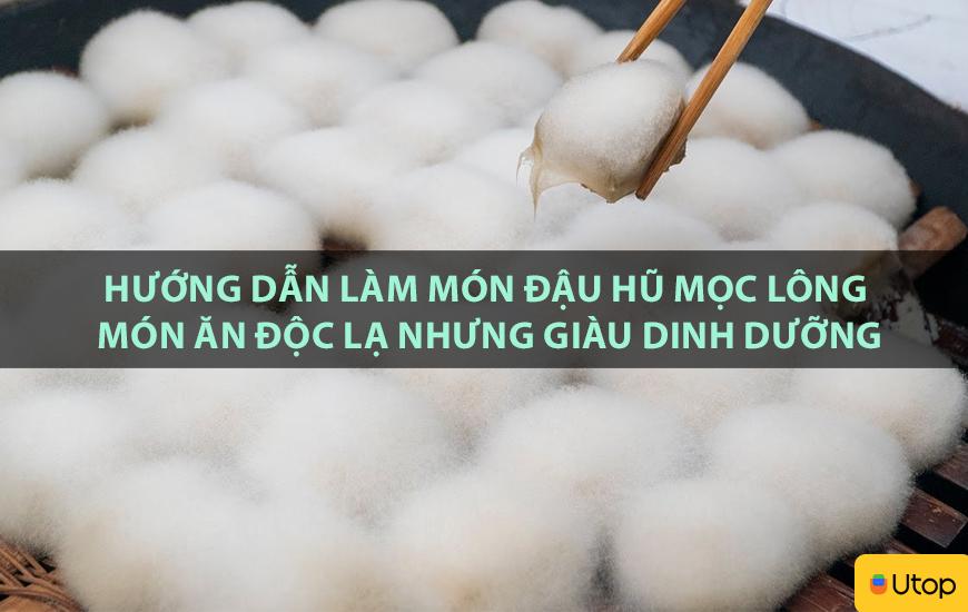 Hướng dẫn làm món đậu hũ mọc lông, món ăn độc lạ nhưng giàu dinh dưỡng