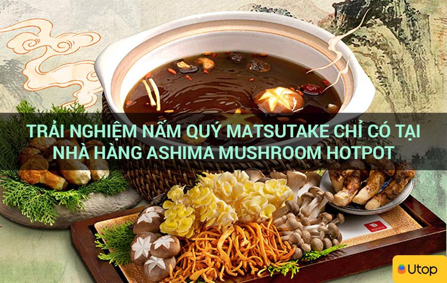 Trải nghiệm nấm quý Matsutake chỉ có tại nhà hàng Ashima Mushroom Hotpot