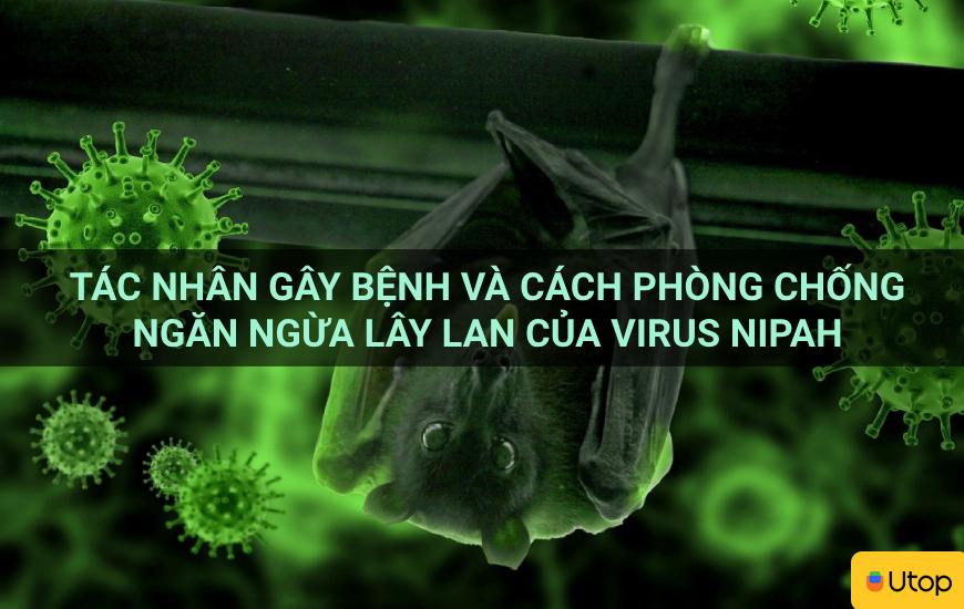 Tác nhân gây bệnh và cách phòng chống ngăn ngừa lây lan của Virus Nipah
