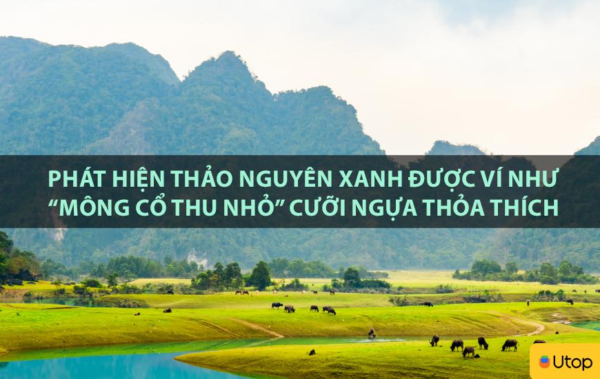 Phát hiện thảo nguyên xanh được ví như 