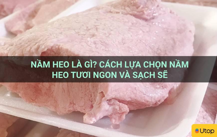 Nầm heo là gì? Cách lựa chọn nầm heo tươi ngon và sạch sẽ
