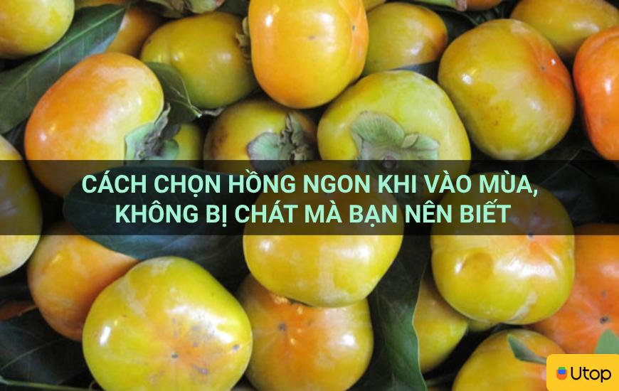 Cách chọn hồng ngon khi vào mùa, không bị chát mà bạn nên biết